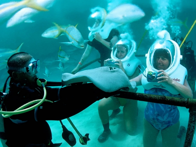  Berühren Sie die Arten im Aquarium 